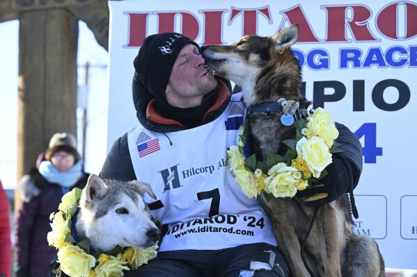 Dallas Seavey celebrates his win in the Iditarod Trail Sled Dog Race, Tuesday, March 12, 2024, in Nome, Alaska. (Anne Raup/Anchorage Daily News via AP)