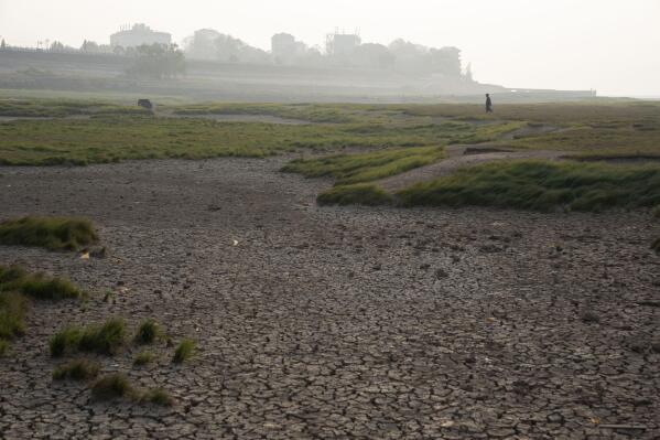 The cracked bed of the Poyang Lake is exposed during drought season in north-central China's Jiangxi province on Tuesday, Nov. 1, 2022. A prolonged drought since July has dramatically shrunk China’s biggest freshwater lake, Poyang. (AP Photo/Ng Han Guan)
