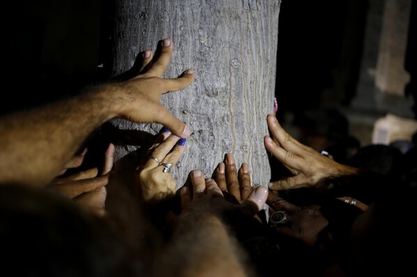 FILE - Believers touch a ceiba, a sacred tree in Afro-Cuban religions, marking the city's founding, in Havana, Cuba, Nov. 16, 2018. Part of the celebration includes the tradition of making wishes while walking three times around the ceiba tree, touching it or even kissing the tree, which is located near the spot where the city was officially founded. (AP Photo/Desmond Boylan, File)