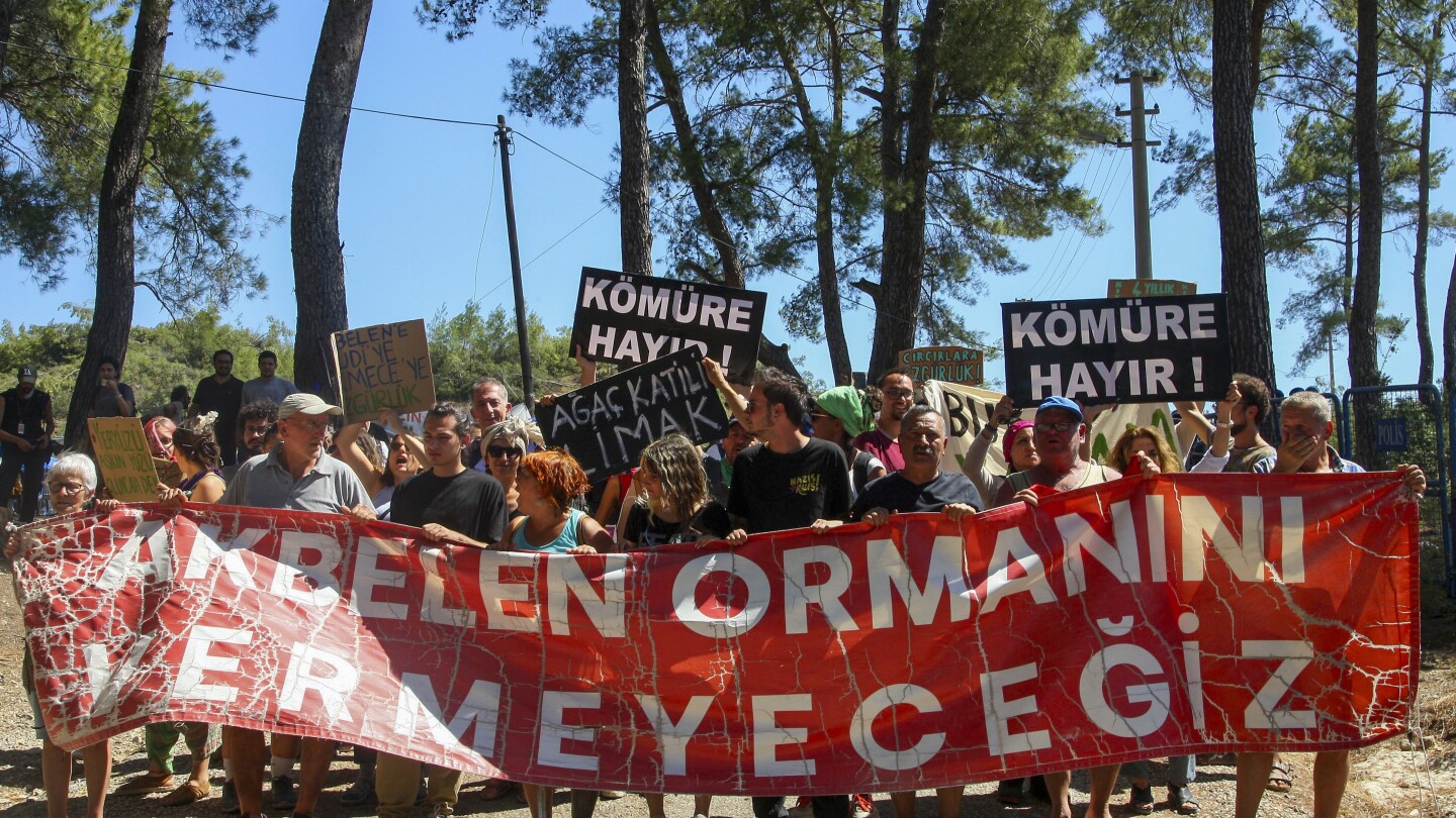 Locals vow to keep fighting to save a forest in southwest Turkey after the chainsaws finish work