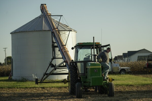 Doug Downs steps out of his tractor while working, Tuesday, Oct. 10, 2023, at his farm near Allerton, Ill. Downs, the Illinois farmer, has tried to incorporate cover crops into some of his operations, especially to control weeds.(AP Photo/Joshua A. Bickel)