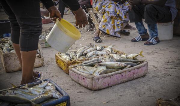 A fishmonger sprinkles water on boxes of fish at the Soumbedioune fish market in Dakar, Senegal, May 31, 2022. In Senegal, fish and seafood represent more than 40% of the animal protein intake in the diet, according to the Food and Agriculture Organization of the United Nations. (AP Photo/Grace Ekpu)