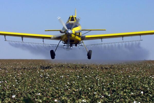 FILE - A crop dusting plane from Blair Air Service dusts cotton crops in Lemoore, Calif., on Sept. 25, 2001. A California judge has ordered a halt to a state-run program of spraying pesticides on public lands and some private property, saying officials failed to assess the potential health effects as required. (AP Photo/Gary Kazanjian, File)