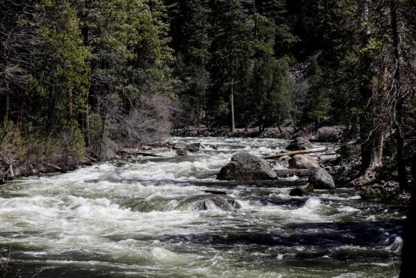 The Merced River rages through Yosemite National Park, Calif., on Tuesday, April 25, 2023. Much of the famed valley at California's Yosemite National Park will be temporarily closed starting Friday, April 28, due to a forecast of flooding as rising temperatures melt the Sierra Nevada's massive snowpack. (Brontë Wittpenn/San Francisco Chronicle via AP)