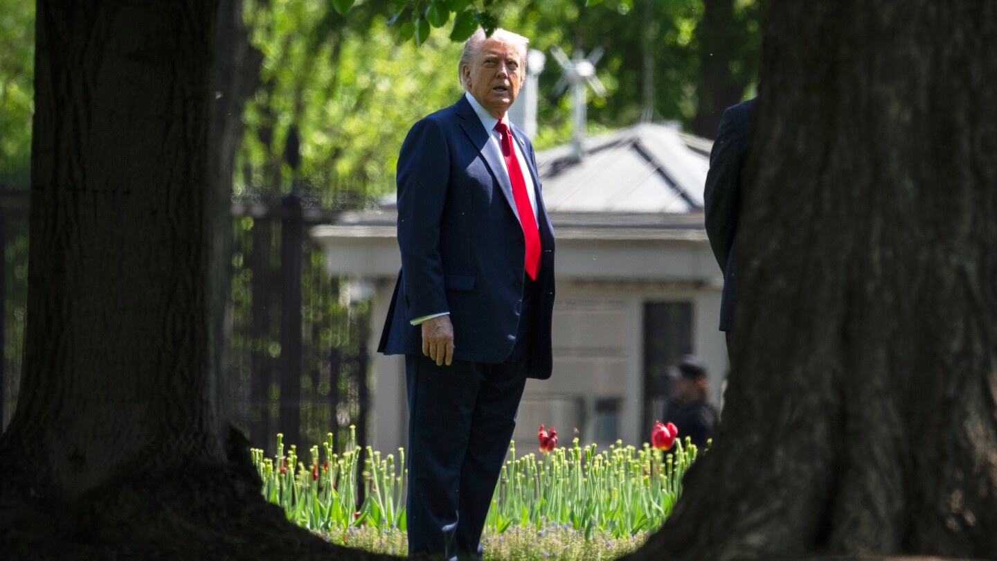 Trump hangs new artwork featuring himself in the White House
