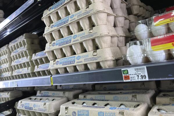 FILE - Eggs are displayed on store shelves at a local grocery store in Chandler, Ariz., Jan. 21, 2023. Amid soaring egg prices, social media users are claiming that common chicken feed products are preventing their own hens from laying eggs. (AP Photo/Ross D. Franklin, File)