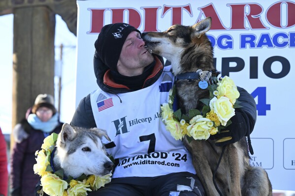 Frenchies unseat Labs as top American Kennel Club dog breed