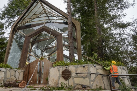 Urban forestry workers remove branches from a redwood tree as they prepare to cut it down next to the Wayfarers Chapel, a sanctuary by architect Lloyd Wright, also known as "The Glass Church," in Rancho Palos Verdes, Calif., Wednesday, May 15, 2024. The modernist chapel features organic architecture with glass walls in a redwood grove overlooking the Pacific Ocean. Part of the Swedenborgian denomination, the church's followers share in 18th-century Swedish scientist and theologian Emanuel Swedenborg's "quest for a religion that interconnects all of life, and for a system that allows reasoned questioning of life's deepest religious issues," the chapel's website says. (Ǻ Photo/Damian Dovarganes)