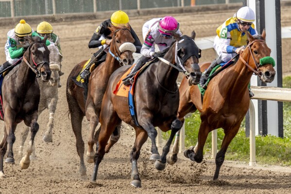 In a photo provided by Fair Grounds Race Course, Behemah Star with J.A. Guerrero aboard, front, turns for home and goes on to win the Star Guitar Stakes horse race at Fair Grounds Race Course in New Orleans, Sunday, March 24, 2024. (Jan Brubaker/Hodges Photography via AP)