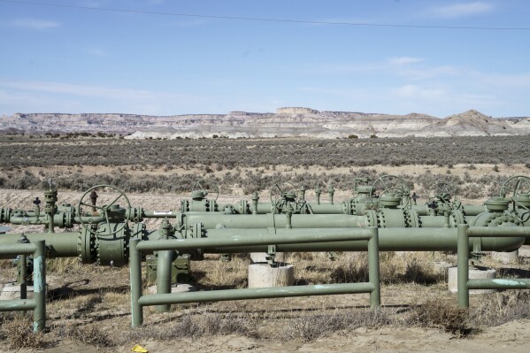 A view of natural gas pipes installed above ground in a field at a well pad in Counselor, N.M., Navajo Nation, on Tuesday March 11, 2025. (Nadav Soroker/Searchlight New Mexico via AP)