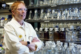 La doctora Nora Disis, directora del Instituto de Vacunas contra el Cáncer del Centro Médico de la Universidad de Washington posa para una fotografía el jueves 25 de mayo de 2023, en las instalaciones del instituto en Seattle. (AP Foto/Lindsey Wasson)