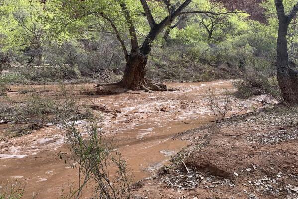 In this photo provided by Shannon Castellano, floodwaters, which washed away a bridge to a campground, flow through the Havasupai Indian Reservation in Arizona on Friday, March 17, 2023. (Shannon Castellano via AP)