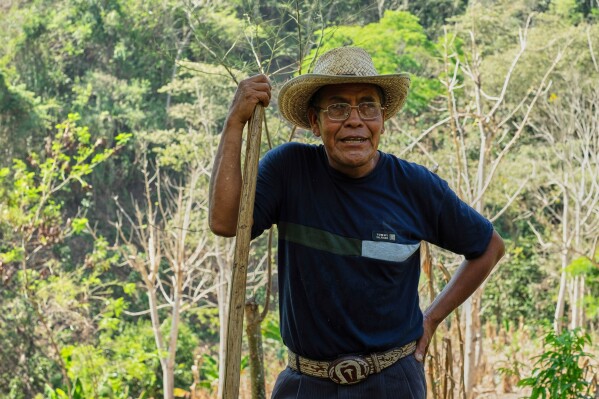 Deacon Juan Pérez Gómez pauses for a work break on his farm in the Simojovel municipality, Mexico, Saturday, April 26, 2025. (AP Photo/Isabel Mateos)