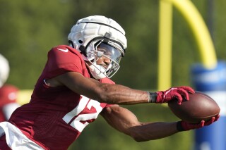 Arizona receiver Zay Jones suspended 5 games for violating NFL's personal  conduct policy | AP News