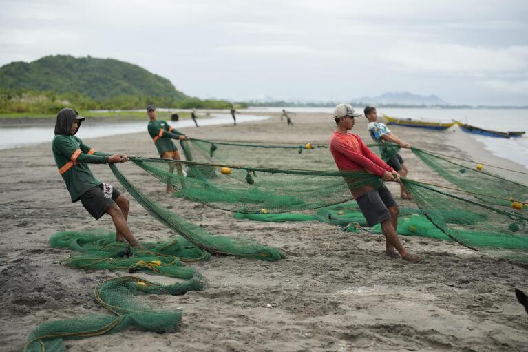 Fishermen pull their nets as they perform the beach seine method of fishing at the coastal town of Tanauan, Leyte, Philippines on Wednesday, Oct. 26, 2022. Non-governmental organizations such as the Environmental Defense Fund are working with the Philippines government to adopt science-based, sustainable fishing practices, said Edwina Garchitorena, who leads those efforts for EDF in the country. (AP Photo/Aaron Favila)