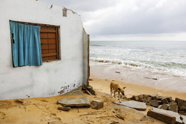 Afeli Bernice Adzo's dog named Nuworza walks by the remains of their family home, which was destroyed by coastal erosion in Avegadzi, Ghana, Wednesday, March 5, 2025 (AP Photo/Misper Apawu)