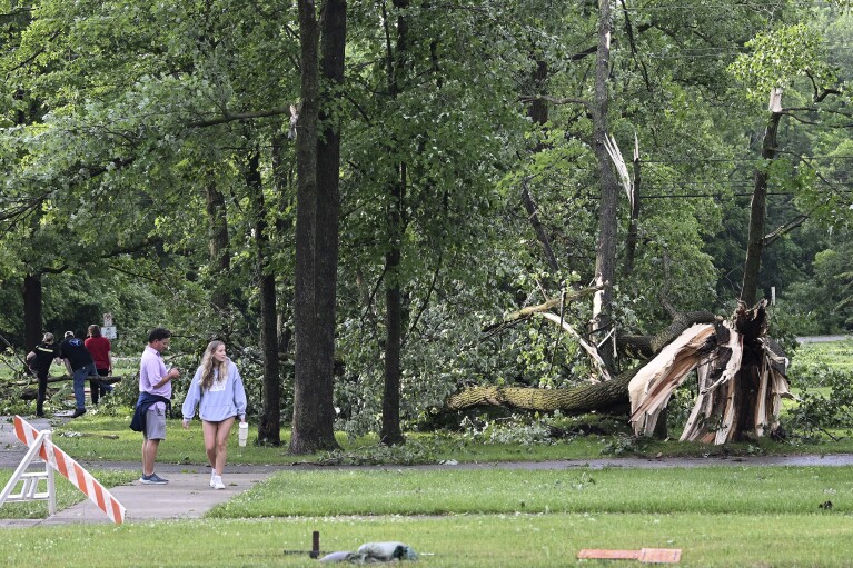 People walk around Rotary Park looking at downed trees after a tornado swept through the area in Livonia, Mich., Wednesday, June 5, 2024. (Robin Buckson/Detroit News via AP)