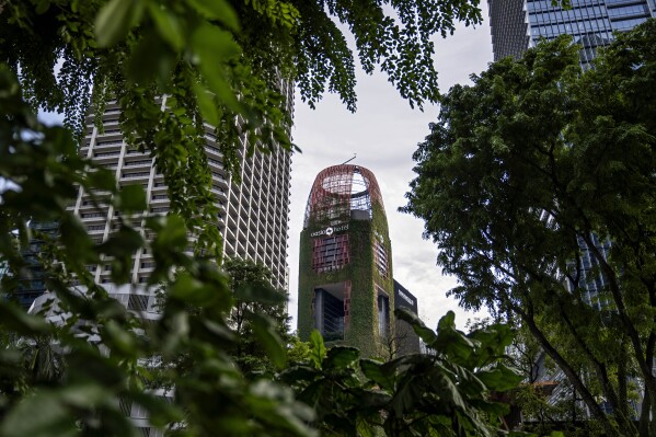 Greenery hangs from the facade of the Oasia Hotel in Singapore, Saturday, July 15, 2023. (AP Photo/David Goldman)