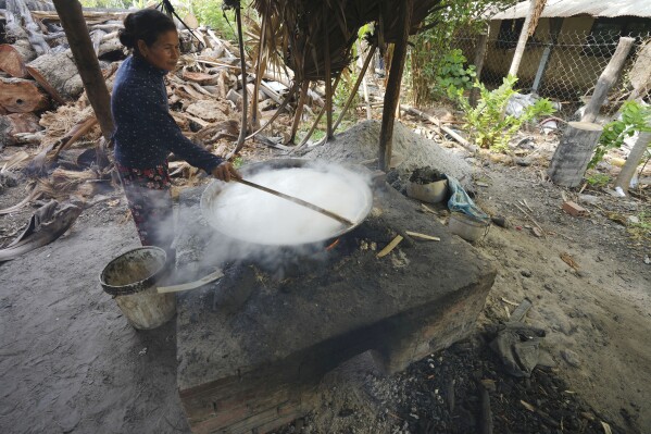 Chin Ith boils palm juice to turn it to sugar at Trapang Ampel village, outside Phnom Penh, Cambodia, Friday, March 15, 2024. Her husband Chin Choeun collects sap from palm trees, which produces roughly 10 kilos (22 pounds) of sugar daily. They earn about 100,000 riel ( $25) a day from selling the sugar to local vendors. (AP Photo/Heng Sinith)
