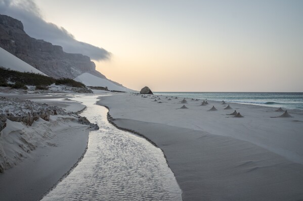 Ghost crab nests line the beach on the Yemeni island of Socotra on Sept. 22, 2024. (AP Photo/Annika Hammerschlag)