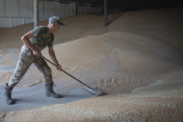 FILE - A worker rakes wheat in a granary on a private farm in Zhurivka, Kyiv region, Ukraine, Thursday, Aug. 10, 2023. Poland's state news agency is reporting that Polish farmers who had blockaded a border crossing to Ukraine ended their protest after reaching an agreement with the government that met their demands. The frustration of the farmers was one of the challenges facing the new Polish government of Prime Minister Donald Tusk, which seeks to support Ukraine while also addressing the demands of Polish farmers and truckers whose livelihoods have been hurt by the war. (AP Photo/Efrem Lukatsky, File)
