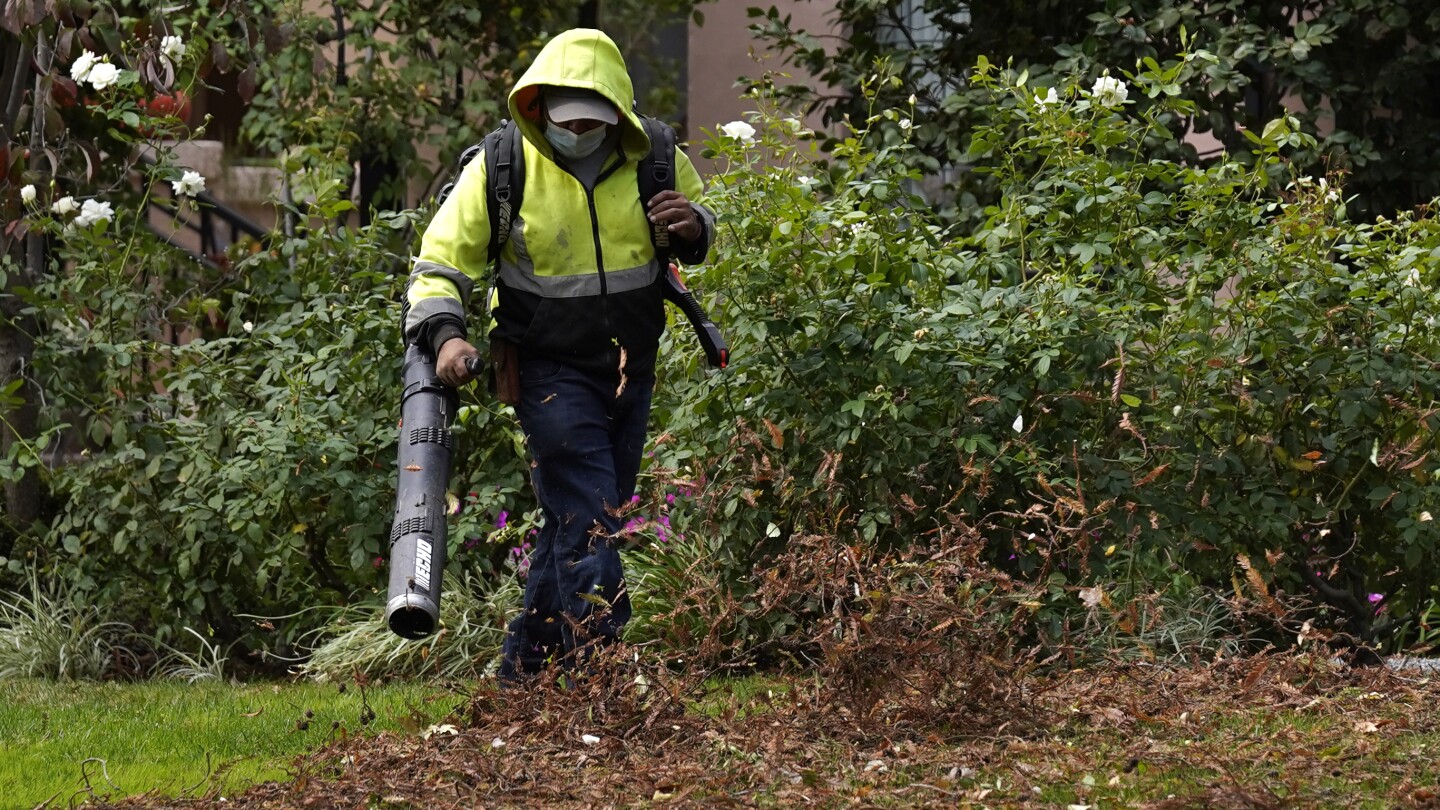 FILE - A gardener uses a leaf blower to clear leaves at a home on Oct. 13, 2021 in Sacramento, Calif.. (AP Photo/Rich Pedroncelli, File) This April 21