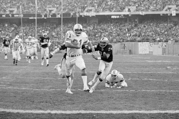 FILE - New England Patriots' Russ Francis (81) carries for a touchdown against the Oakland Raiders during an NFL football game in Oakland, Calif., Dec. 18, 1976. At right is Raiders' Willie Brown (24). Former NFL tight end Russ Francis, a three-time Pro Bowl selection with the New England Patriots who won a Super Bowl with the 1984 San Francisco 49ers, was killed along with another aviation enthusiast when the single-engine plane the two men were in crashed shortly after takeoff from an airport in upstate New York, authorities said Monday, Oct. 2, 2023. Francis was president of Lake Placid Airways, which runs charter and scenic flights. (AP Photo)