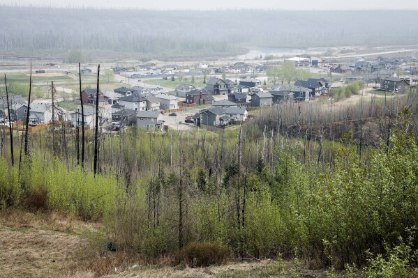 Burned trees from the 2016 wildfire stand sentinel over a neighborhood in Fort McMurray, Alberta, on Wednesday, May 15, 2024. (Jeff McIntosh /The Canadian Press via Ǻ)