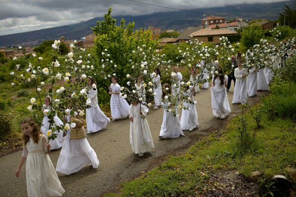 "Las Doncellas" (maidens) dressed in white take part in the pilgrimage "The Maidens" in honor of the Virgin, in Sorzano, northern Spain, on Sunday, May 19, 2024. (AP Photo/Alvaro Barrientos)