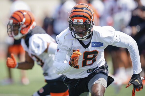 Cincinnati Bengals News, Dayton, Ohio