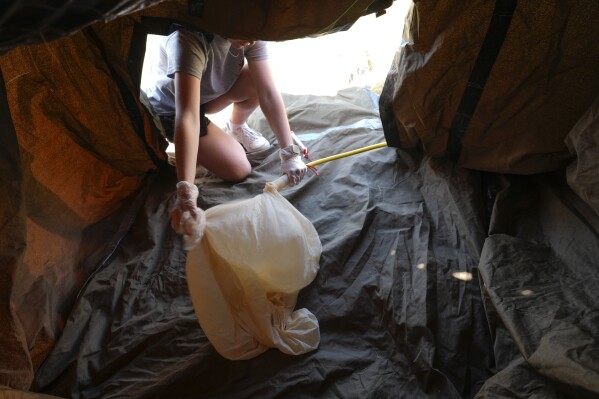 Project ICECHIP member and Central Michigan University student Jeanette Cavin inflates a weather balloon in a protective shelter to launch a radiosonde to collect data Wednesday, June 4, 2025, in Tucumcari, N.M. (AP Photo/Carolyn Kaster)