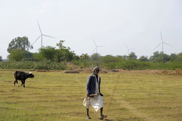 A man walks near wind turbines, an Adani Group project, near Sadla village in Surendranagar district of Gujarat state, India, March 20, 2023. (AP Photo/Ajit Solanki, File)