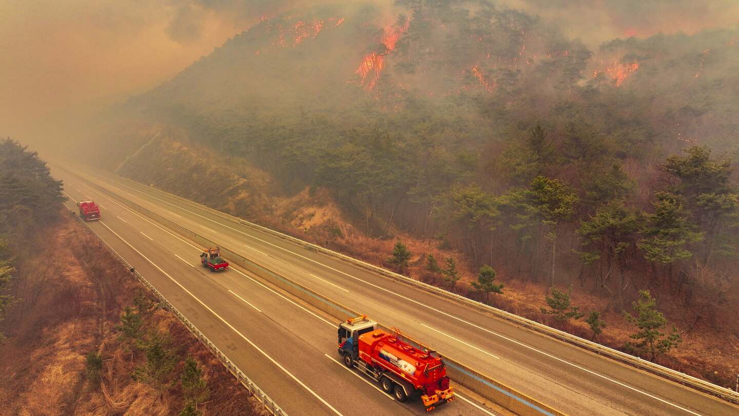 Residents in South Korea’s Andong city told to evacuate as wildfires spread