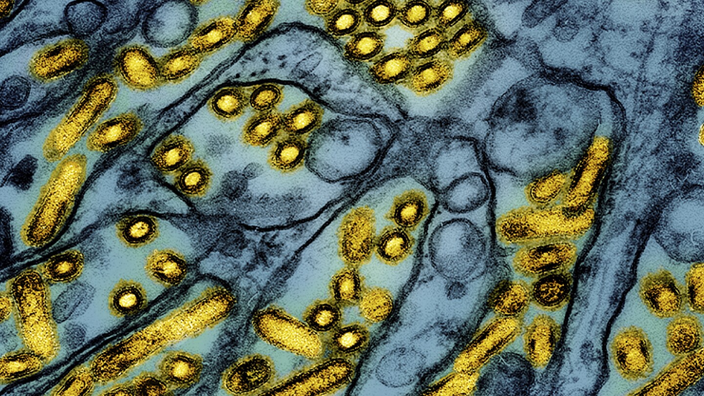 California declared an emergency over bird flu. How serious is the situation?