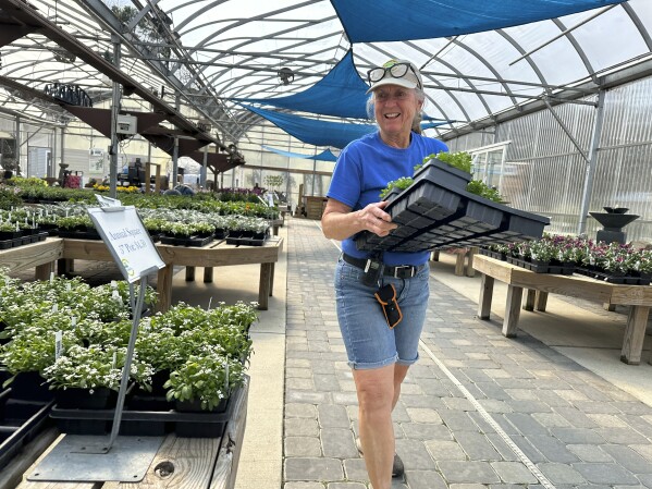 An employee carries a tray of plants at East Coast Garden Center, March 13, 2024 in Millsboro, Del. (AP Photo/Tassanee Vejpongsa)