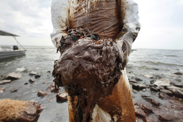 FILE - A cleanup worker picks up blobs of oil in absorbent snare on Queen Bess Island at the mouth of Barataria Bay near the Gulf of Mexico in Plaquemines Parish, La., June 4, 2010. (Ǻ Photo/Gerald Herbert, File)