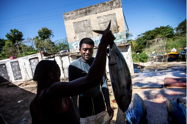 Spearfisherman Rick Walker, 35, sells his catch to a buyer at a fish market in White River, Jamaica, Tuesday, Feb. 12, 2019. Walker remembers the early opposition to the fish sanctuary, with many people saying, “No, they’re trying to stop our livelihood.” Two years later, Walker, who is not involved in running the sanctuary but supports its boundary, says he can see the benefits. “It’s easier to catch snapper and barracuda,” he says. “At least my great grandkids will get to see some fish.” (AP Photo/David Goldman)
