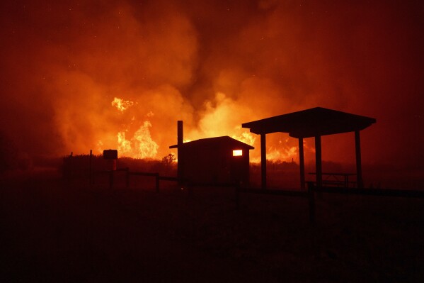 Las llamas de un incendio forestal se acercan a unas estructuras, el 15 de junio de 2024, en Gorman, California. (AP Foto/Eric Thayer)