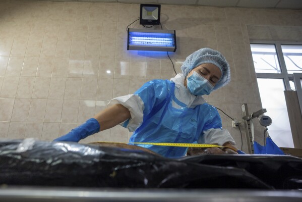 A forensic worker in Kyiv, Ukraine, examines the body of a prisoner of war repatriated by Russia, June 24, 2024. (AP Photo/Alex Babenko)