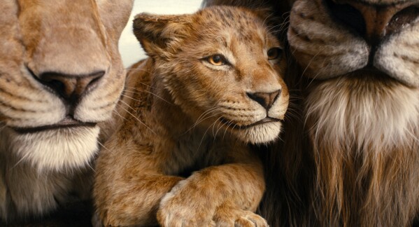 This image released by Disney shows characters Afia, voiced by Anika Noni Rose, left, Mufasa, voiced by Braelyn Rankins, center, and Masego, voiced by Keith David, in a scene from "Mufasa: The Lion King." (Disney via AP)