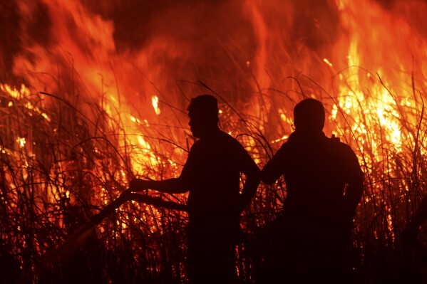 Firefighters attempt to extinguish a fire that razes through a peatland field in Ogan Ilir South Sumatra, Indonesia, Tuesday, Sept. 12, 2023. Indonesian firefighters were trying to extinguish more peatland fires on Indonesia's Sumatra Island on Tuesday. (AP Photo/Muhammad Hatta)