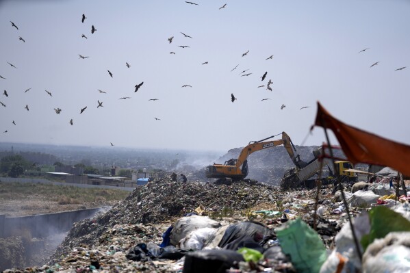 Waste pickers look for items that could be recycled as birds fly over a garbage dump during a heat wave on the outskirts of Jammu, India, Wednesday, June 20, 2024. As many as 4 million people in India scratch out a living searching through landfills for anything they can sell. (AP Photo/Channi Anand)