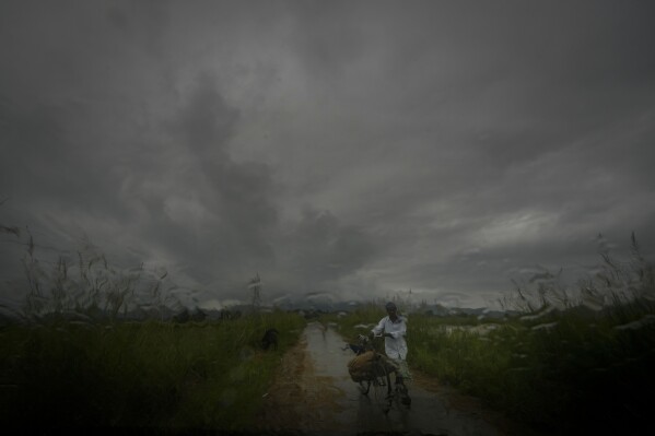 FILE - A farmer carries a sack of paddy on his bicycle during monsoon rains as clouds hover over the sky on the outskirts of Guwahati, India, June 20, 2024. Human-caused climate change is making rainfall more unpredictable and erratic, which makes it difficult for farmers to plant, grow and harvest crops on their rain-fed fields. (AP Photo/Anupam Nath, File)