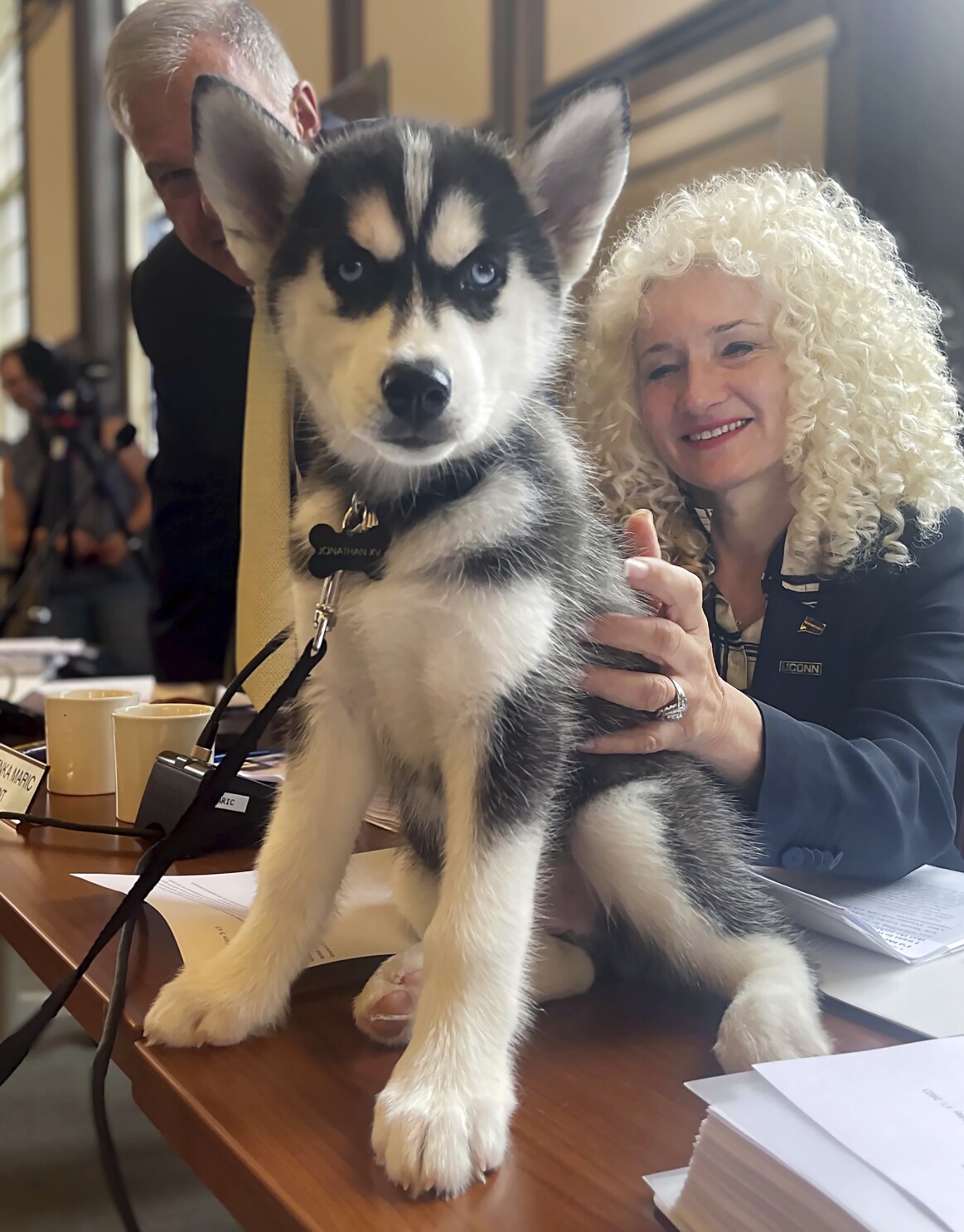 UConn introduces Siberian husky pup Jonathan XV as the school's next mascot  | AP News