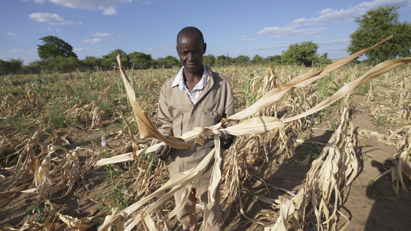 Превъртане назад. Превъртане напред. Африканските фермери търсят навсякъде, за да се справят с изменението на климата