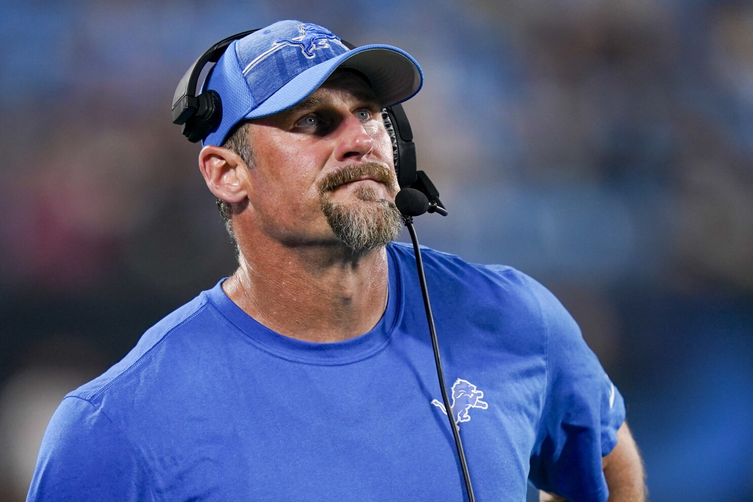 The Lions, losers no more, are the NFC North favorite. Can they