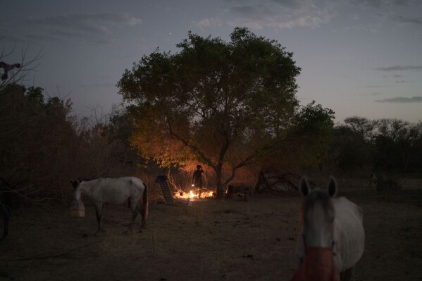 Houraye Ndiaye, 20, daughter of Amadou Altine Ndiaye, stands next to a fire as she prepares dinner where her family set up camp in the village of Yawara Dieri, in the Matam region of Senegal, Saturday, April 15, 2023. The Ndiaye family doesn’t sell their animals regularly because meat is mostly for special occasions: weddings, or holidays such as Eid al-Adha and Eid al-Fitr. When they do, a few head of cattle can provide enough money to get married, buy rice or even emigrate. (AP Photo/Leo Correa)