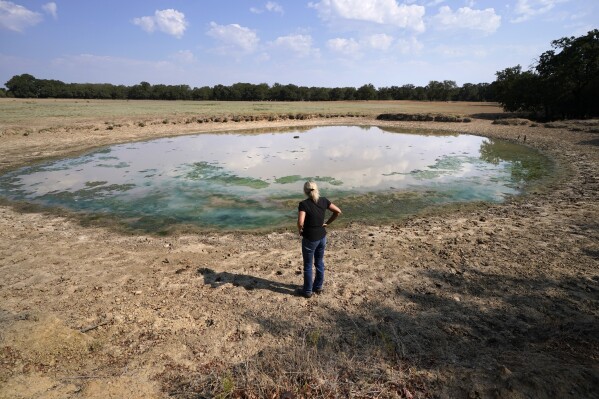 Gilda Jackson surveys an area that has dried, and dropped a few feet due to drought conditions affecting the region and her property in Paradise, Texas, Monday, Aug. 21, 2022. (AP Photo/Tony Gutierrez)