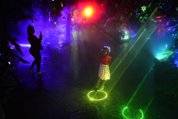 Celine Abraham, 5, and members of her family attend a preview of NightGarden, an annual holiday experience featuring thousands of lights and special effects, at Fairchild Tropical Botanic Garden, Thursday, Nov. 9, 2023, in Coral Gables, Fla. (AP Photo/Rebecca Blackwell)