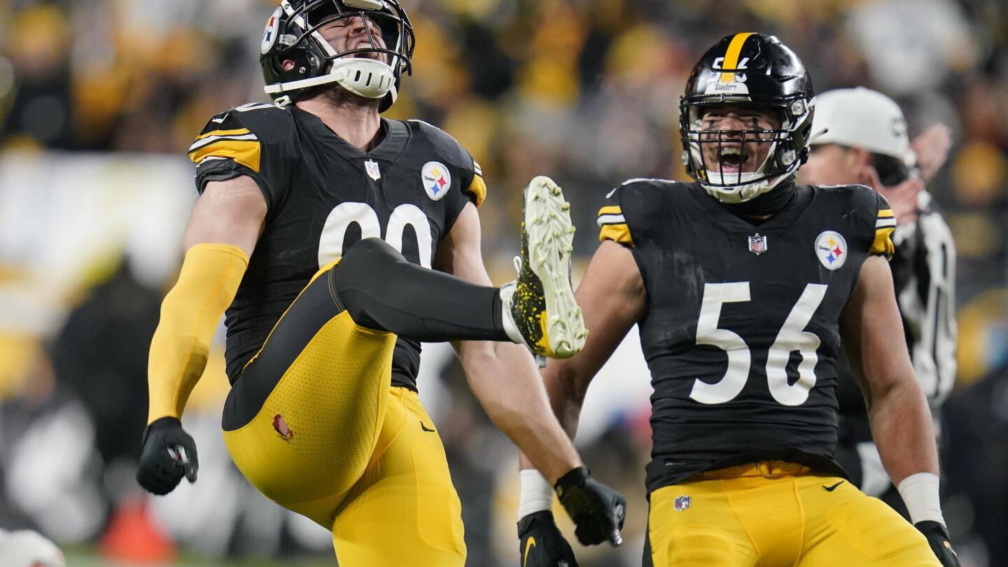 Steelers' Watt takes aim at NFL's single-season sack record